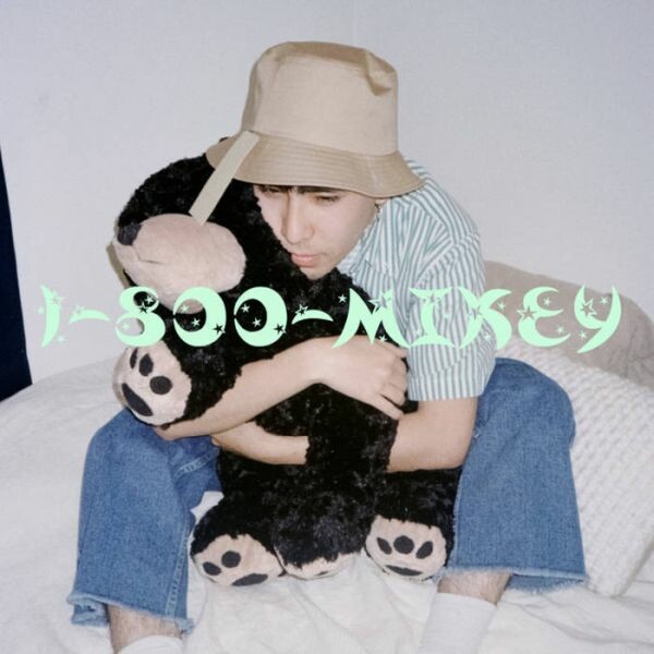 1-800 MIKEY – s/t (LP Vinyl)