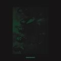 OTHER LIVES/ATOMS FOR PEACE, tamer animals/other side OTHER LIVES/ATOMS FOR PEACE, tamer animals/other side cover
