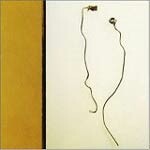 SMART WENT CRAZY, con art SMART WENT CRAZY, con art cover