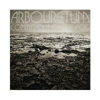 ARBOURETUM, coming out of the fog cover