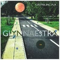GRUMBLING FUR, glynnaestra cover