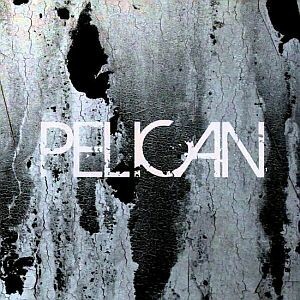PELICAN, deny the absolute / the truce cover