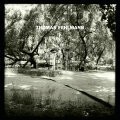 THOMAS FEHLMANN, eye/tree THOMAS FEHLMANN, eye/tree cover