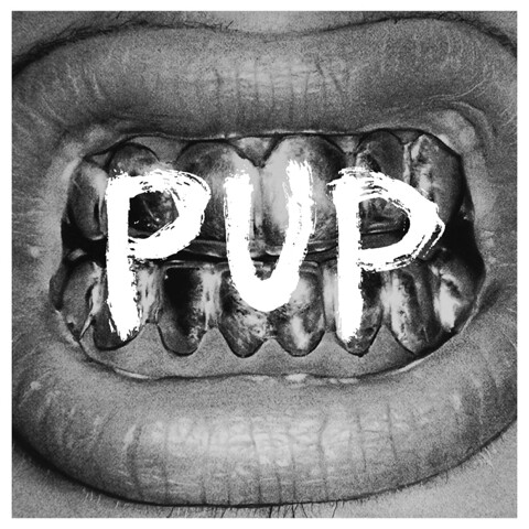 PUP, s/t cover