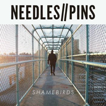NEEDLES//PINS, shamebirds cover
