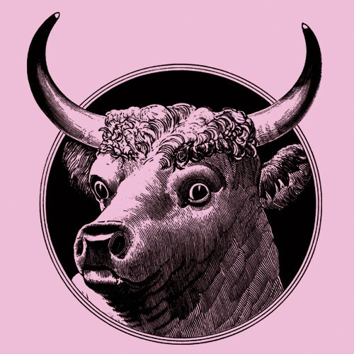 ORANGE BEAT, el crespo (girl), cameo pink cover