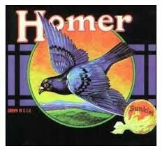 HOMER, grown in the us plus bonus HOMER, grown in the us plus bonus cover