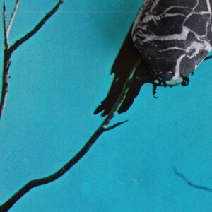 TANGENTS, stateless TANGENTS, stateless cover