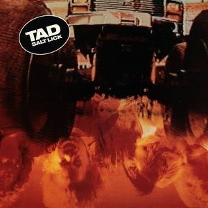 TAD, salt lick (deluxe) cover