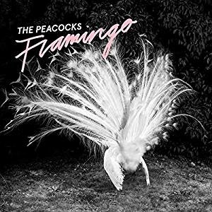 PEACOCKS, flamingo cover