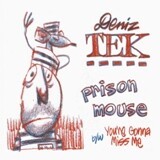 DENIZ TEK, prison mouse cover