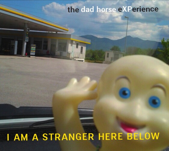 DAD HORSE EXPERIENCE, i am a stranger here below cover