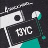 13 YEAR CICADA – 4 track mind vol. 3 (7" Vinyl)