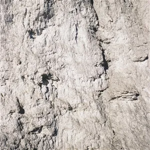 13 YEAR CICADA – s/t (LP Vinyl)
