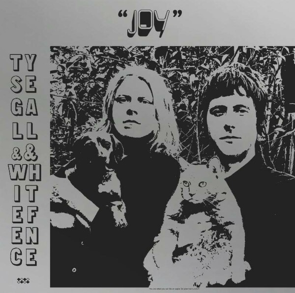 TY SEGALL & WHITE FENCE, joy cover