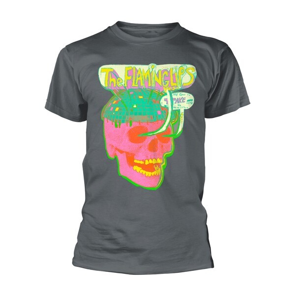 FLAMING LIPS, disco skull (boy) grey Cover FLAMING LIPS, disco skull (boy) grey