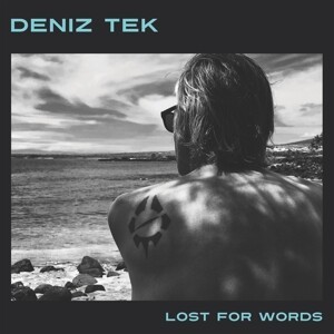DENIZ TEK, lost for words cover