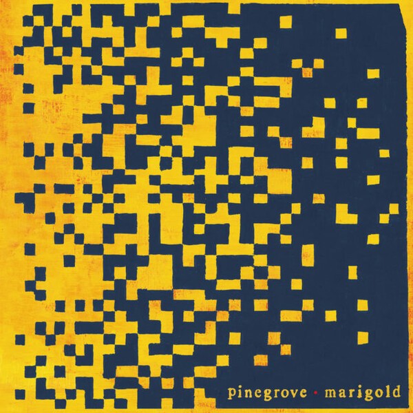 PINEGROVE, marigold cover