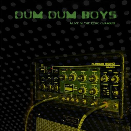 DUM DUM BOYS, alive in the echo chamber cover