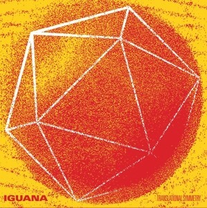 IGUANA, translational symmetry cover