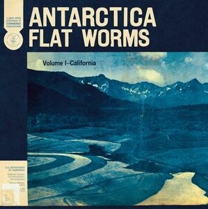 FLAT WORMS, antarctica cover