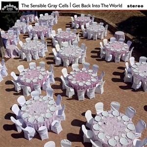 SENSIBLE GRAY CELLS, get back into the world cover
