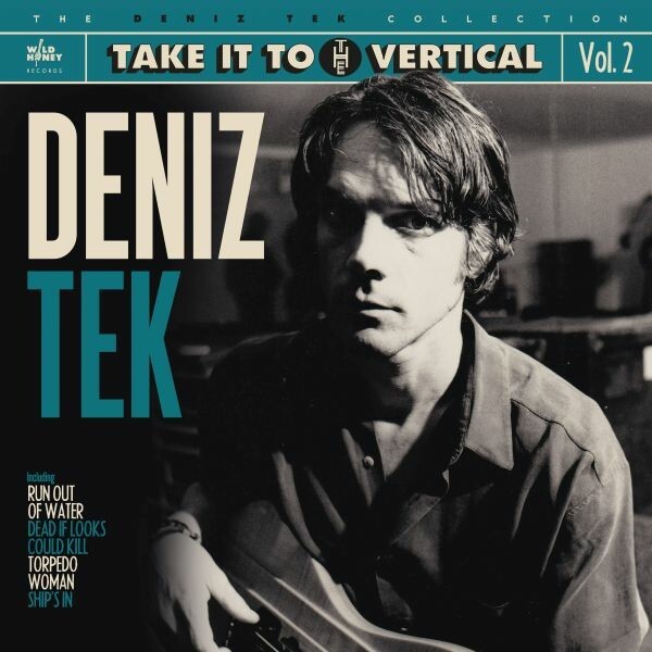 DENIZ TEK, take it to the vertical - d.t. collection vol 2 cover