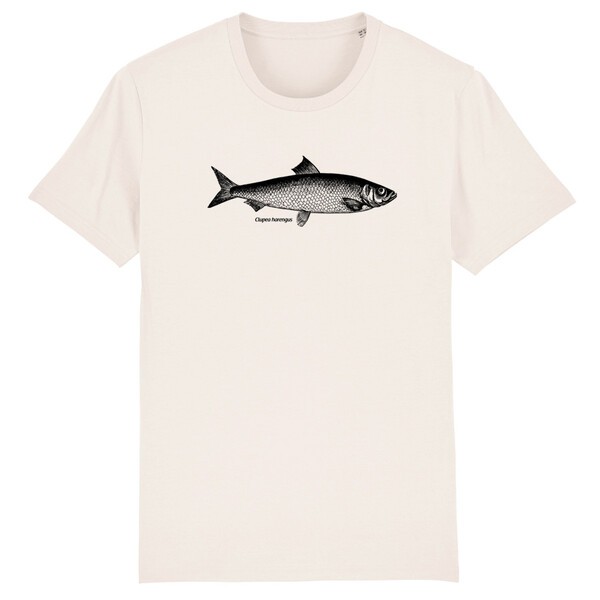 FISHSHIRT, hering (boy), sky blue FISHSHIRT, hering (boy), sky blue cover