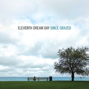 ELEVENTH DREAM DAY, since grazed cover