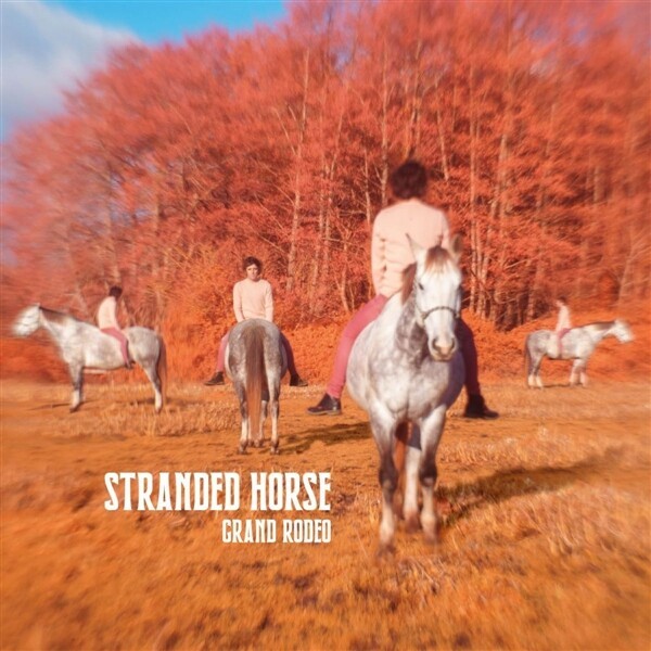 STRANDED HORSE, grand rodeo cover