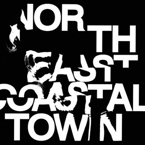 LIFE, north east coastal town cover