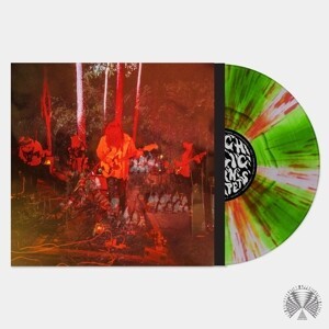 PSYCHEDELIC PORN CRUMPETS, levitation sessions (neon pinwheel vinyl) cover