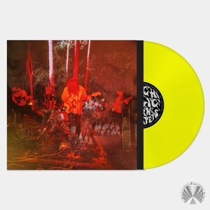PSYCHEDELIC PORN CRUMPETS, levitation sessions (neon yellow vinyl) cover