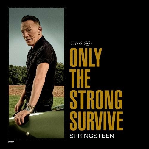 BRUCE SPRINGSTEEN, only the strong survive cover