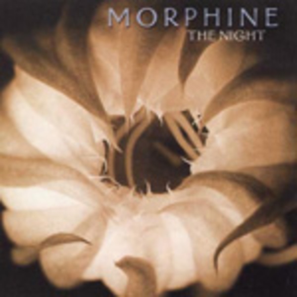 MORPHINE, night MORPHINE, night cover