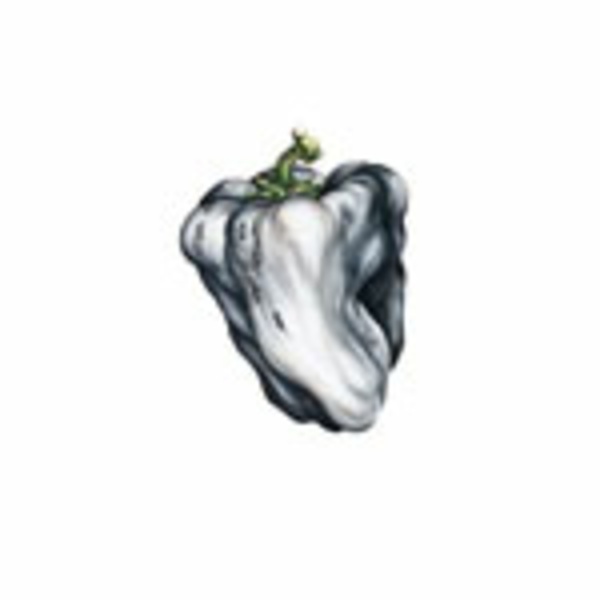 WEEN, white pepper WEEN, white pepper cover