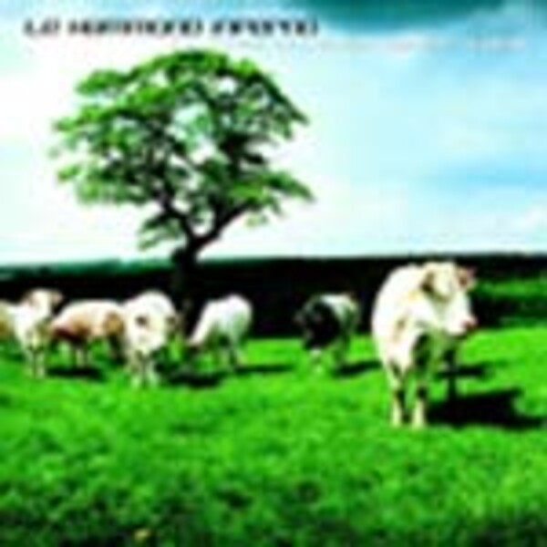 LE HAMMOND INFERNO, move your mp3 LE HAMMOND INFERNO, move your mp3 cover