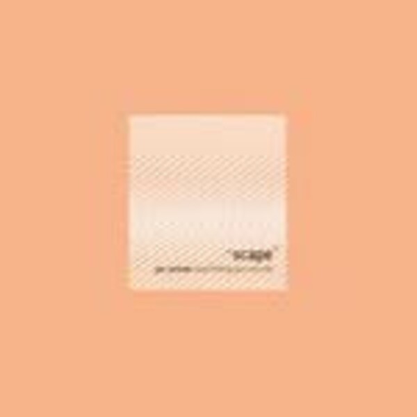 JAN JELINEK, loop-finding-jazz-records JAN JELINEK, loop-finding-jazz-records cover