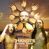 31 KNOTS – trump harm (LP Vinyl)