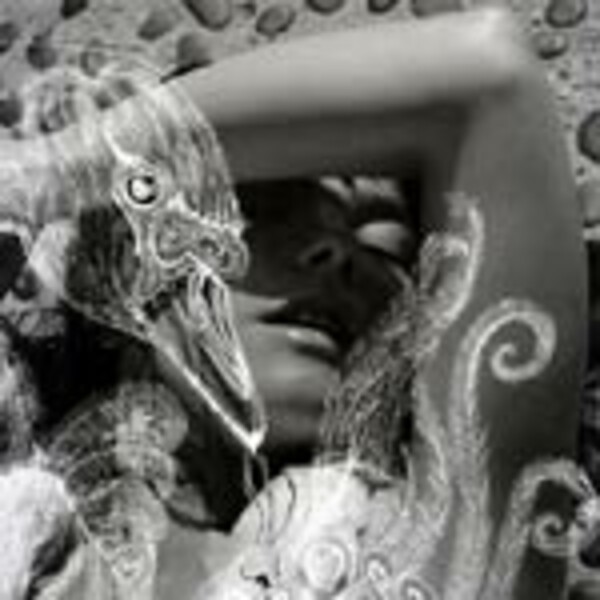 BJÖRK, vespertine BJÖRK, vespertine cover