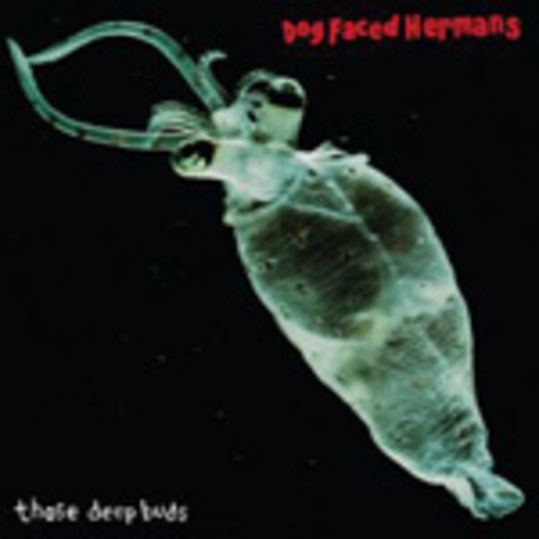 DOG FACED HERMANS, those deep buds DOG FACED HERMANS, those deep buds cover