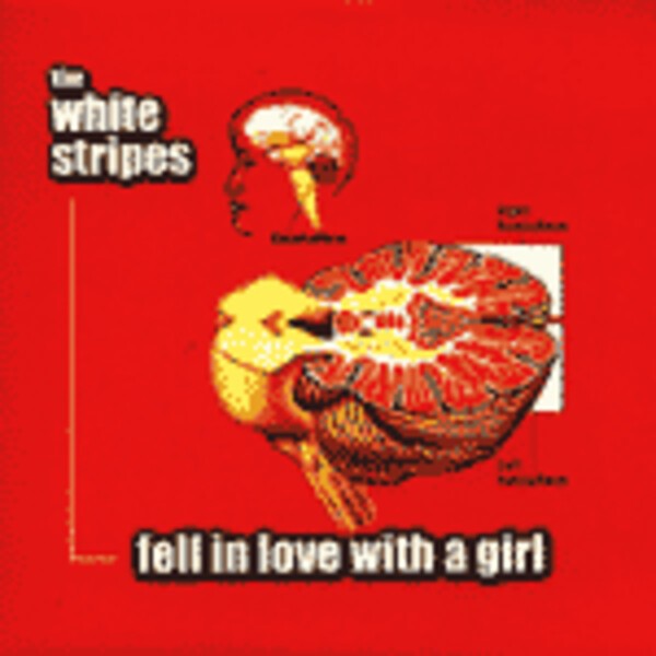 WHITE STRIPES, fell in love with a girl WHITE STRIPES, fell in love with a girl cover