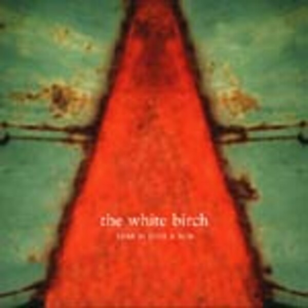 WHITE BIRCH, star is just a sun WHITE BIRCH, star is just a sun cover