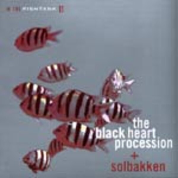 BLACK HEART PROCESSION & SOLBAKKEN, in the fishtank BLACK HEART PROCESSION & SOLBAKKEN, in the fishtank cover