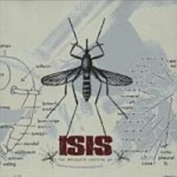 ISIS, mosquito control ISIS, mosquito control cover