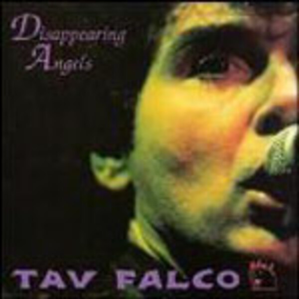 TAV FALCO & PANTHER BURNS, disappearing angels TAV FALCO & PANTHER BURNS, disappearing angels cover