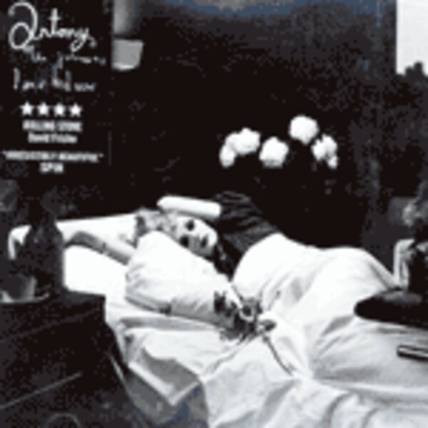 ANTONY AND THE JOHNSONS, i am a bird now ANTONY AND THE JOHNSONS, i am a bird now cover