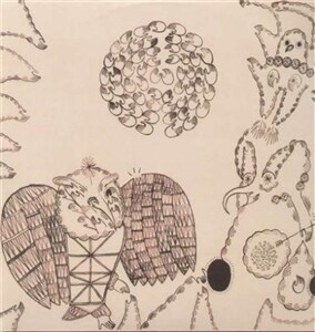 DEVENDRA BANHART, nino rojo/rejoicing the hands DEVENDRA BANHART, nino rojo/rejoicing the hands cover