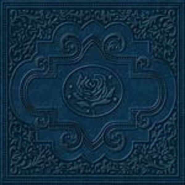 RYAN ADAMS, cold roses RYAN ADAMS, cold roses cover