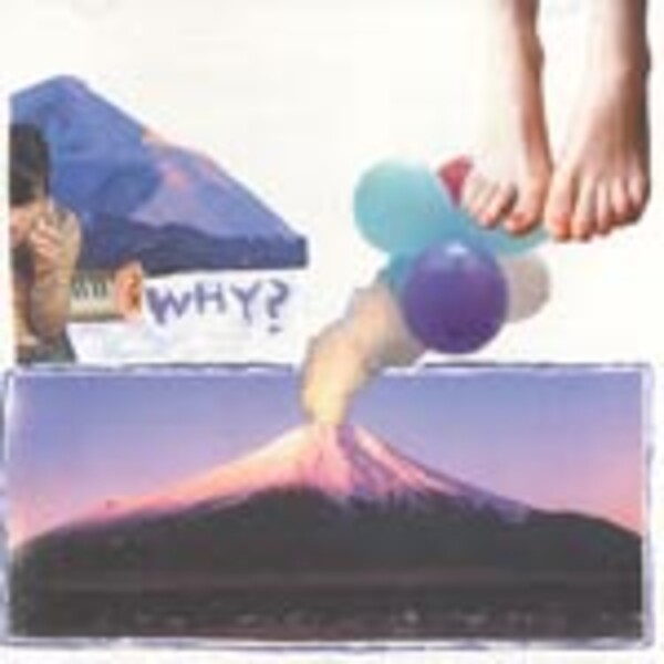 WHY?, elephant eyelash WHY?, elephant eyelash cover